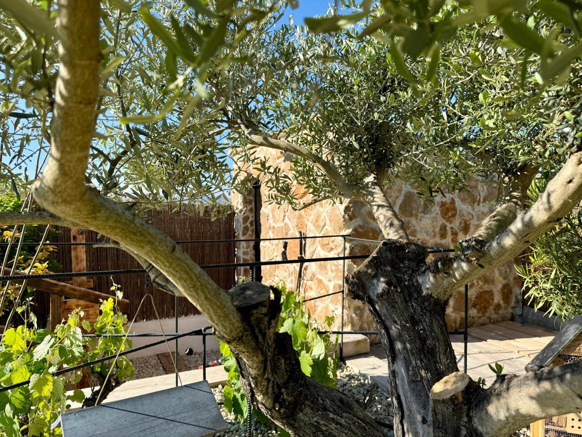 Une Nuit En Luberon Puyvert Exterior foto